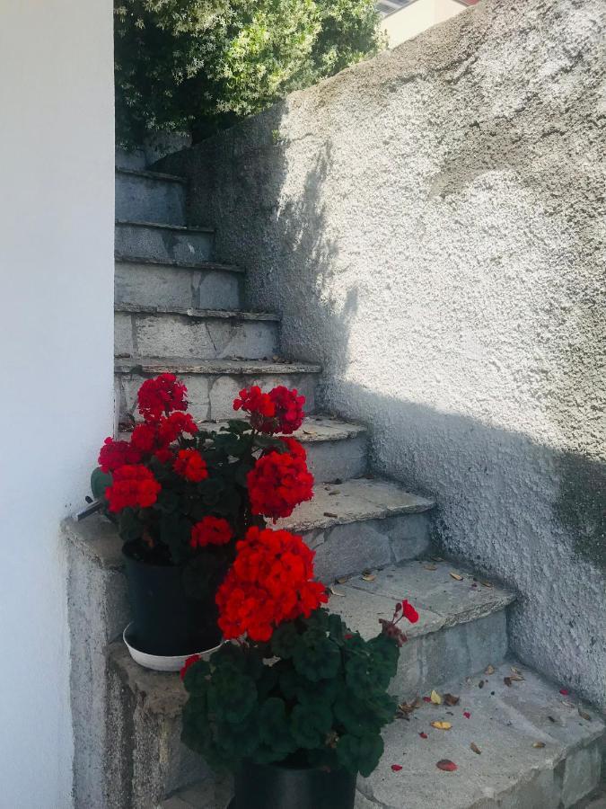 Villa Teresa Casarza Ligure Exterior foto